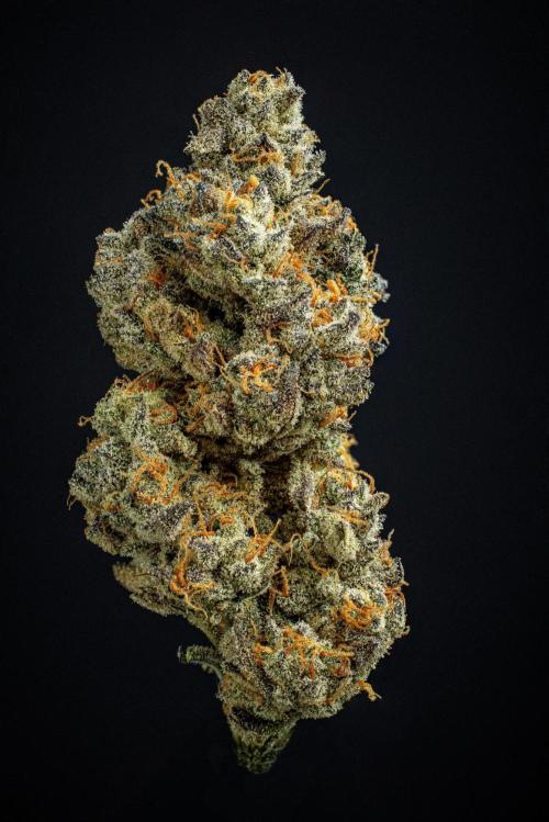 Candy House UKHTA Genetics. Week 17 - cured buds after some months