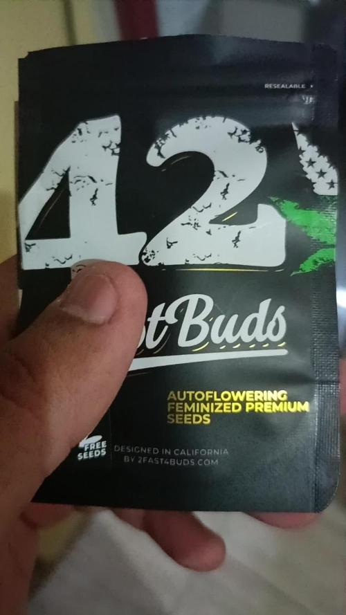 Cinderella 99 Auto | From Fast Buds in Brazil