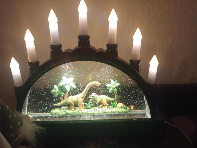 Dominastammbaum. Week 3