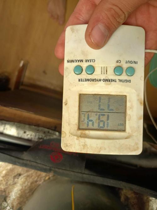 rainbow f1. Week 11 - 1.12