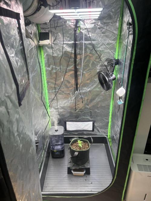 iFresh 4-Inch Inline Duct Fan. Week 1