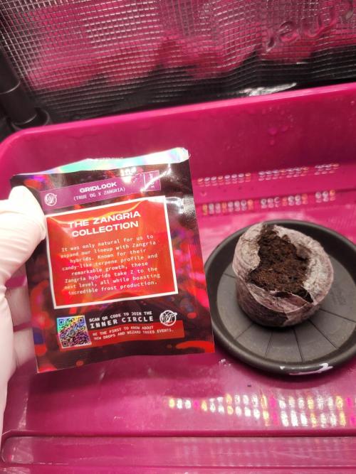 High Hopes and Expectations!. Week 0