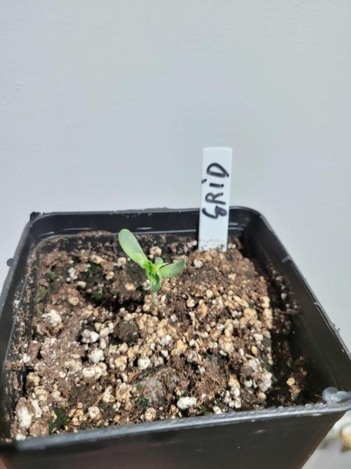 (RIP) High Hopes and Expectations!. Week 1