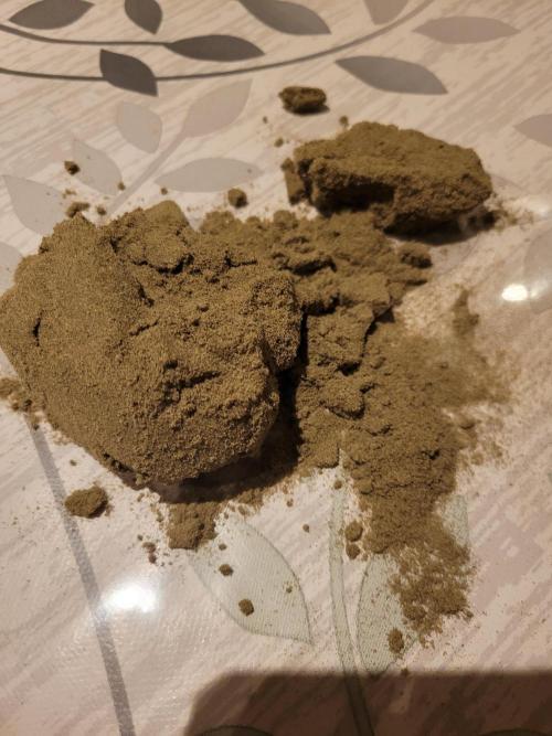 Lets grow some Honey (Runtz) Hash :). Week 23 - 160-73
