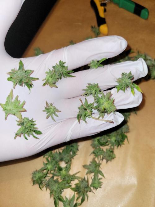 A new Hope. Week 17 - threw them out