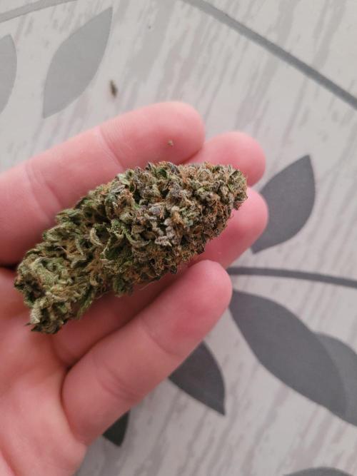 A new Hope. Week 17