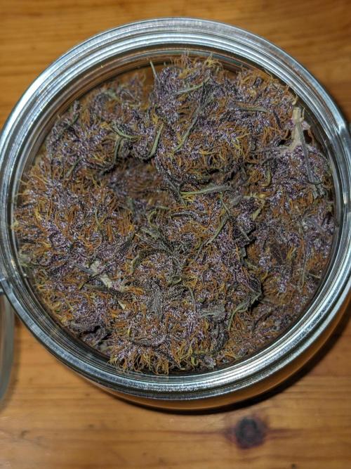 Blackberry Auto CheapSetup Coco+LiteMix. Week 10