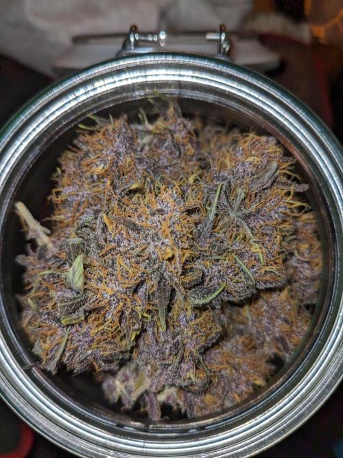 Blackberry Auto CheapSetup Coco+LiteMix. Week 10