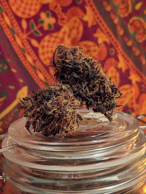 Blackberry Auto CheapSetup Coco+LiteMix. Week 10