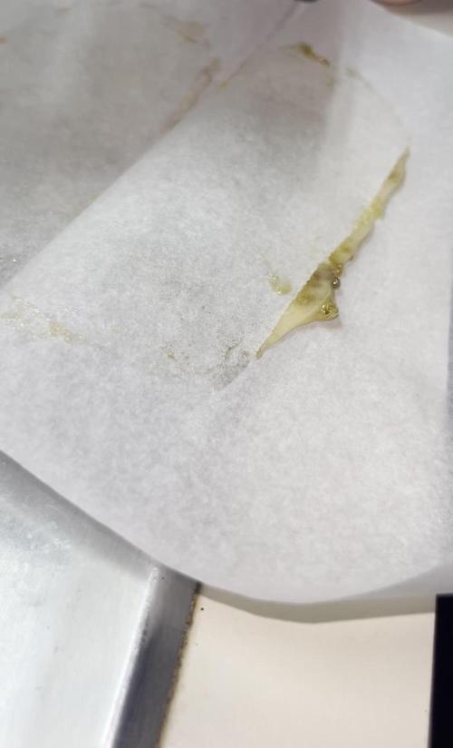 Runtz — 🏆 Eternity Grow Cup 2025 🏆