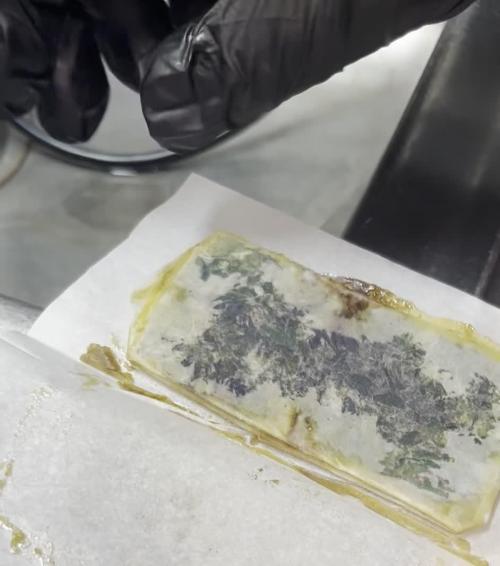 Runtz — 🏆 Eternity Grow Cup 2025 🏆