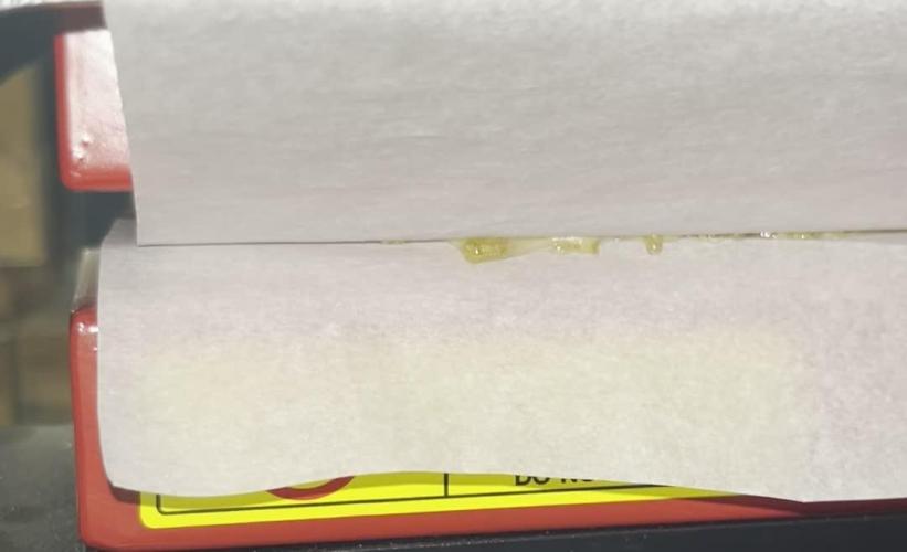 Runtz — 🏆 Eternity Grow Cup 2025 🏆