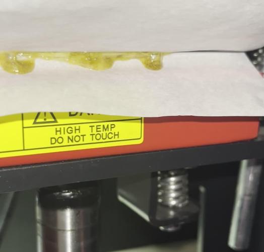 Runtz — 🏆 Eternity Grow Cup 2025 🏆