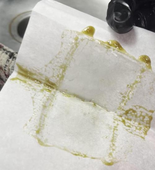 Runtz — 🏆 Eternity Grow Cup 2025 🏆