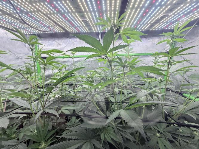 Spanish Moon S1 (Lovin' In Her Eyes). Week 2