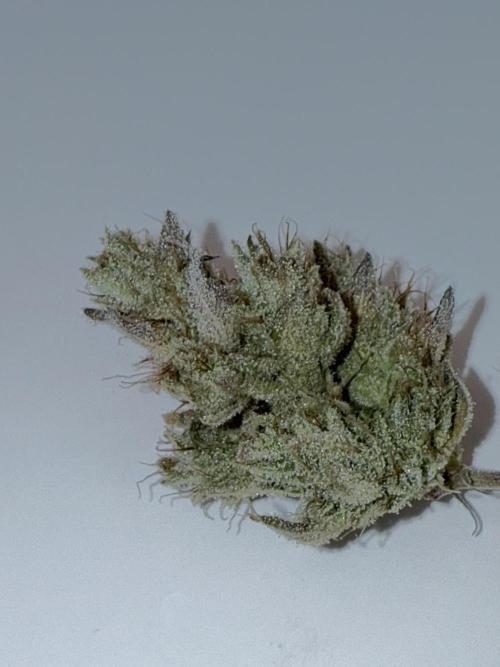 Jet Puft - The Menthol Vol. 2 - RDWC #4. Week 6