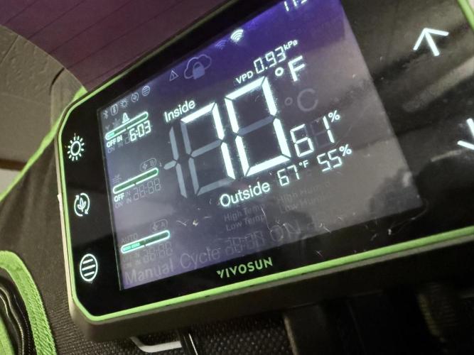 Legendary Larry (DOJA x Swamp Boys). Week 5