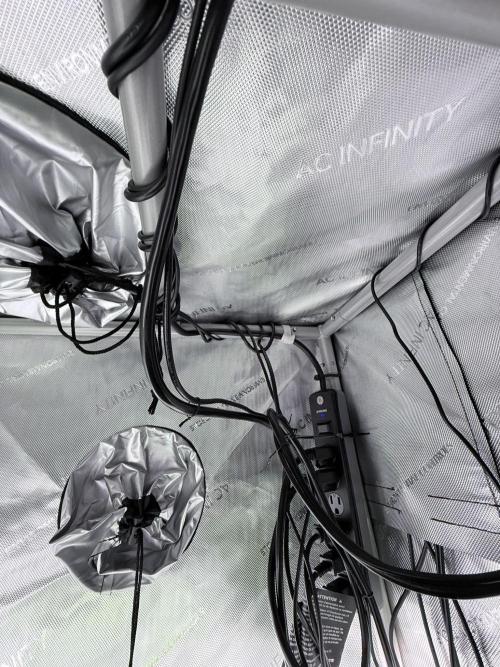 Grape Gas (Compound x Cannarado) #2. Week 1