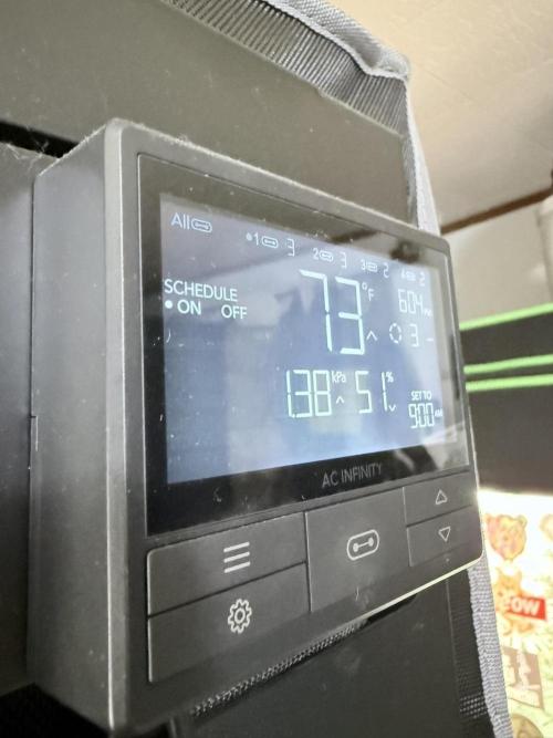 Grape Gas (Compound x Cannarado) #2. Week 1