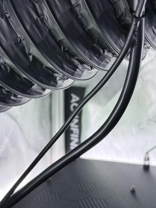 Grape Gas (Compound x Cannarado) #2. Week 1