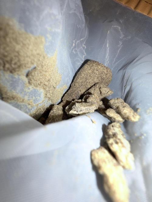 Farmer's Market Clone - Outdoor. Week 7 - 120ish mic