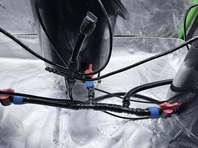 Grape Gas (Compound x Cannarado) #3. Week 1