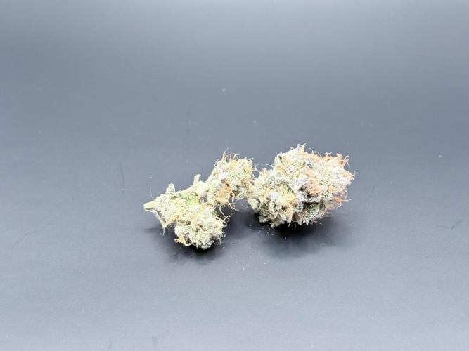 Grape Gas (Compound x Cannarado). Week 8