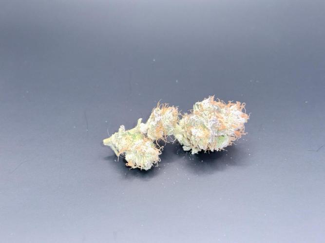 Grape Gas (Compound x Cannarado). Week 8