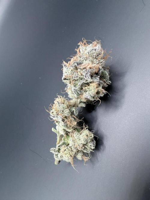 Grape Gas (Compound x Cannarado). Week 8