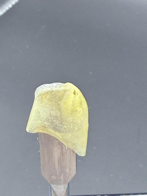 Grape Gas (Compound x Cannarado). Week 8 - 1st press