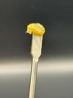 Comment by ATLien415 photo #1