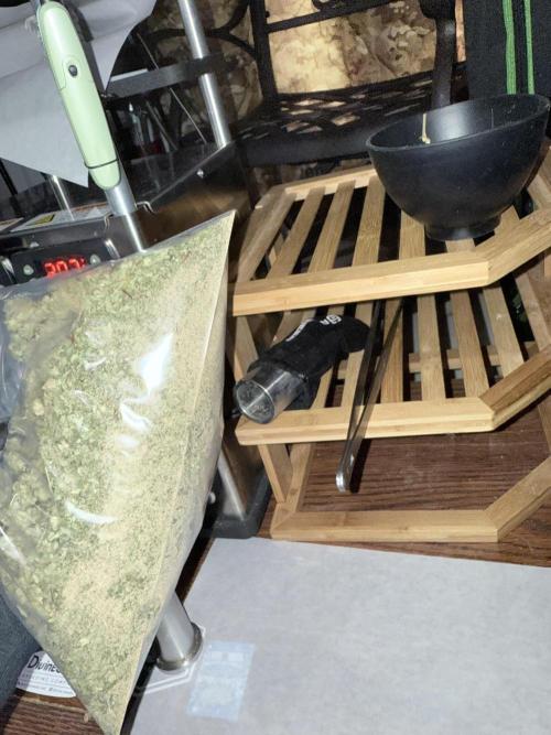 Grape Gas (Compound x Cannarado) #2. Week 8