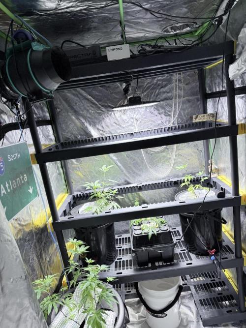 🥦 Sticky Broccoli  —  EGC 2026 🥦. Week 0