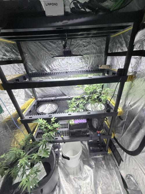 🥦 Sticky Broccoli  —  EGC 2026 🥦. Week 2