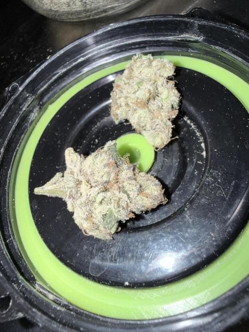 Legendary Larry (DOJA x Swamp Boys) #5. Week 11
