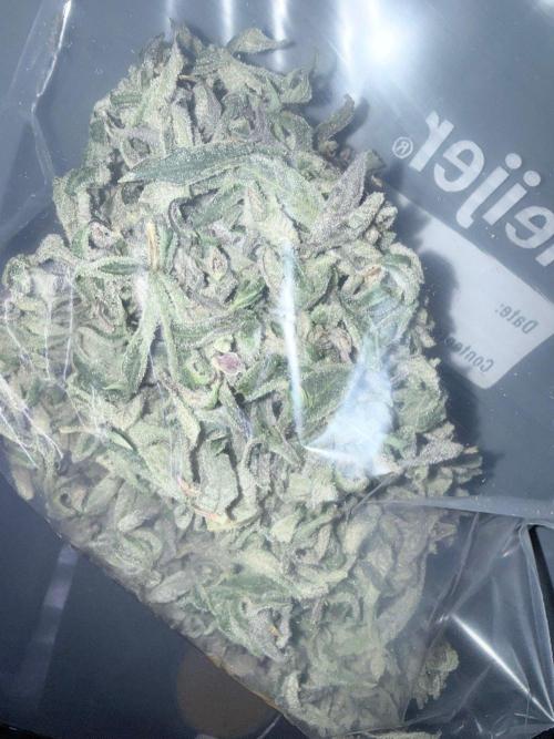 Legendary Larry (DOJA x Swamp Boys) #7. Week 9