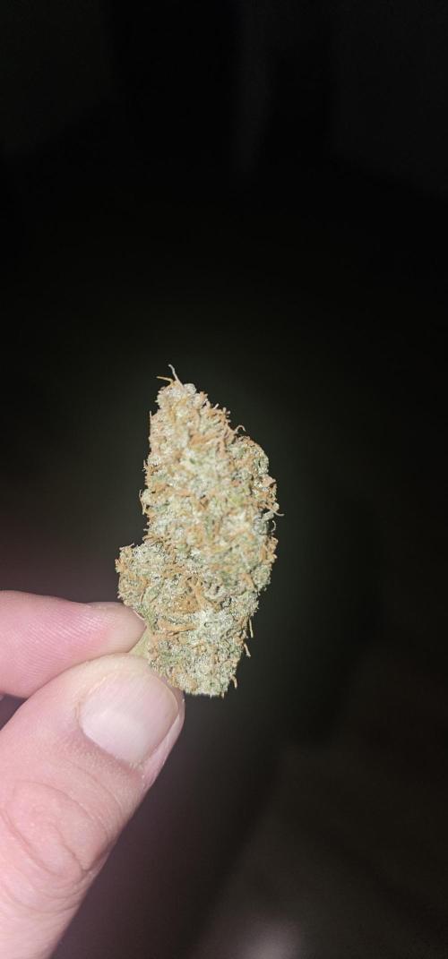 Gorilla Z Fast Buds. Week 11