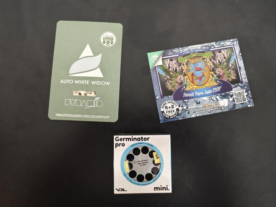 Auto White Widow / Sweet Pure Auto CBD. Week 0