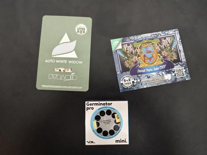 Auto White Widow / Sweet Pure Auto CBD. Week 0