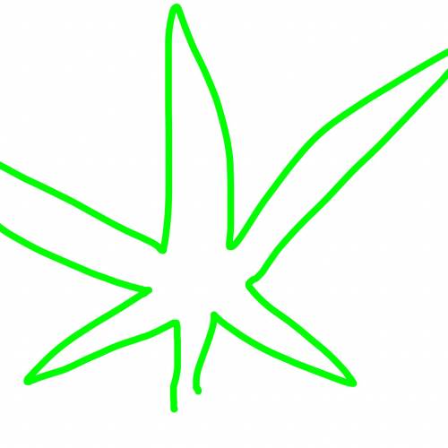 Midnight Splendor 2019 . Week 1