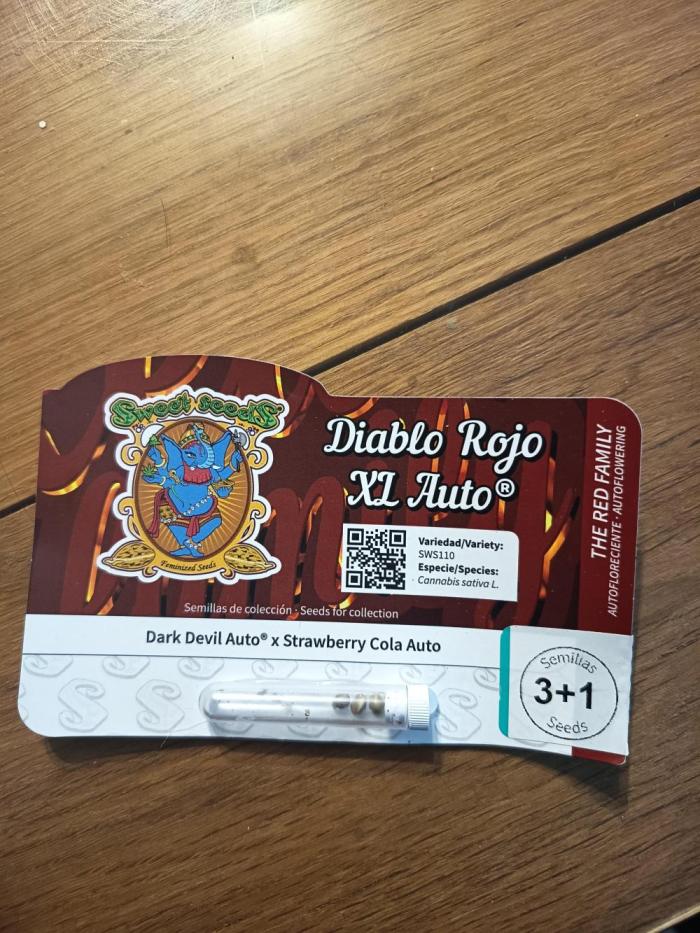 Diablo rojo-Sweet Seeds. Week 0