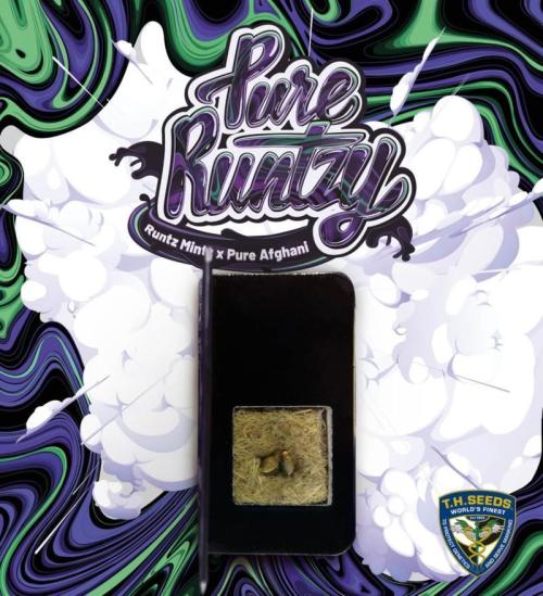 Dankie Run #1 – Fruity Syndicate 🍓. Week 0