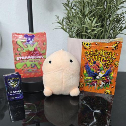 Dankie Run #1 – Fruity Syndicate 🍓. Week 0