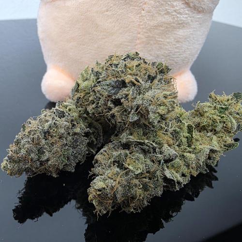 Dankie Run #1 – Fruity Syndicate 🍓. Week 16
