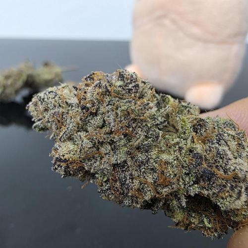 Dankie Run #1 – Fruity Syndicate 🍓. Week 16