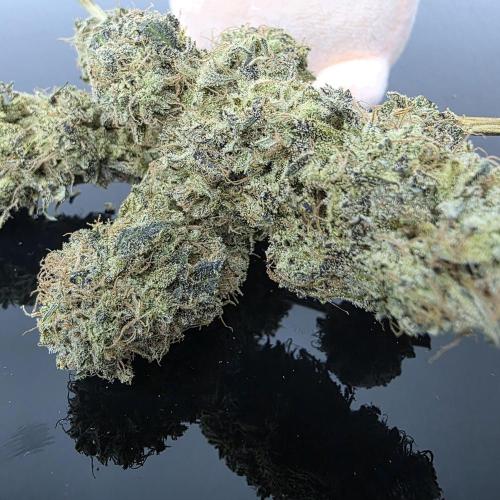 Dankie Run #1 – Fruity Syndicate 🍓. Week 16