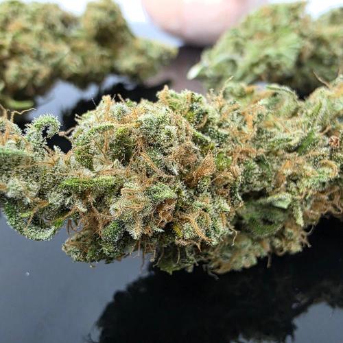 Dankie Run #2 – Arctic Berry Blast. Week 18