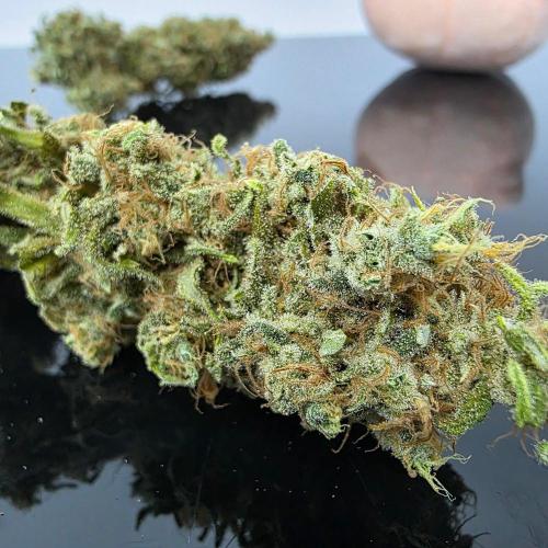 Dankie Run #2 – Arctic Berry Blast. Week 18