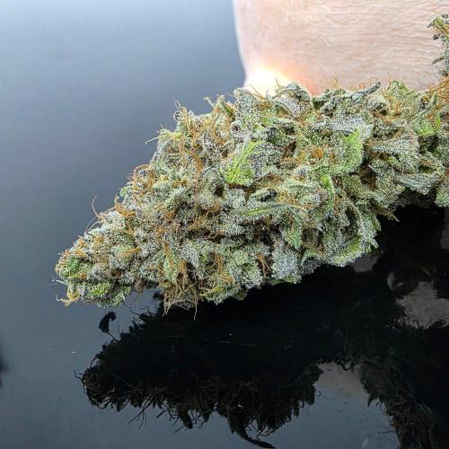 Dankie Run #2 – Arctic Berry Blast. Week 18