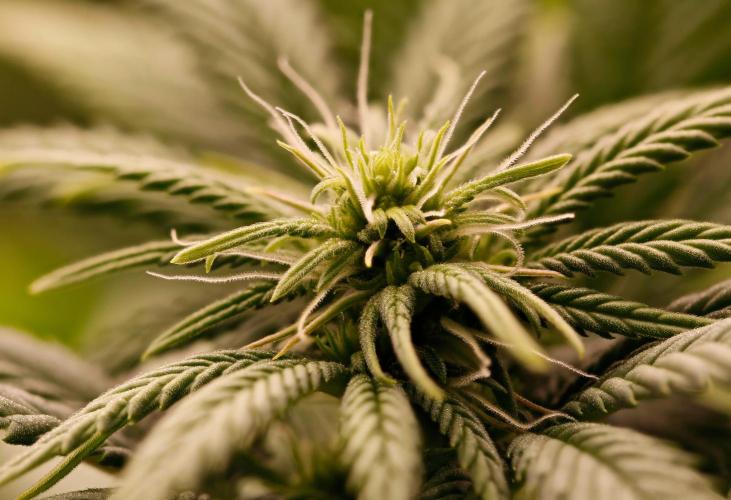 Strawb-AK, Dantes Inferno, SBC. Week 8 - Day54 SAK